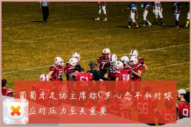 葡萄牙足协主席称C罗心态平和对球队应对压力至关重要